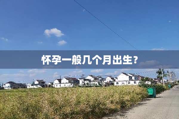 怀孕一般几个月出生？