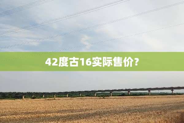 42度古16实际售价？
