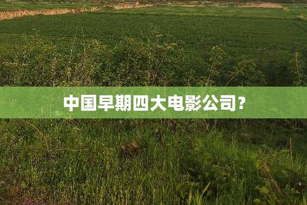 中国早期四大电影公司？