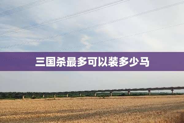 三国杀最多可以装多少马