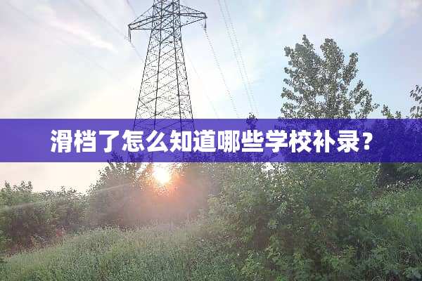 滑档了怎么知道哪些学校补录？