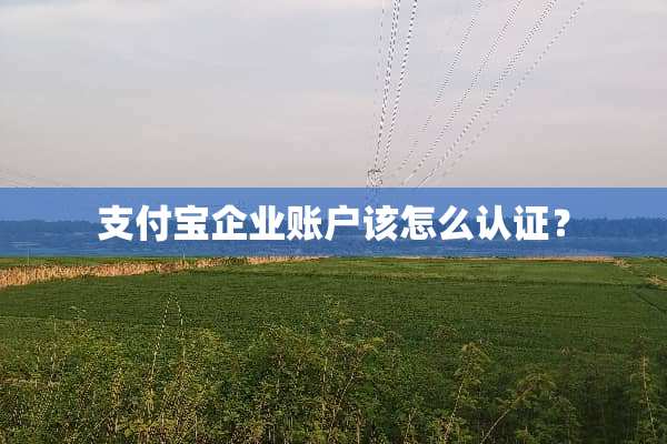 支付宝企业账户该怎么认证？