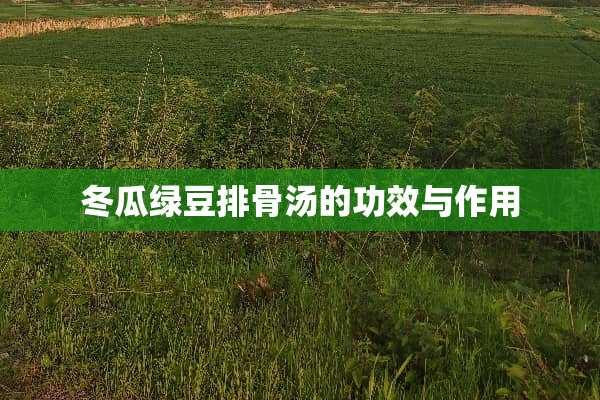 冬瓜绿豆排骨汤的功效与作用