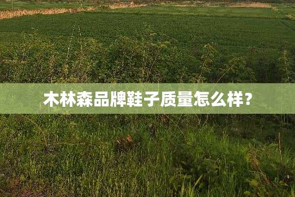 木林森品牌鞋子质量怎么样？