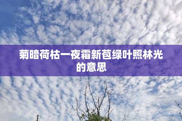 菊暗荷枯**霜新苞绿叶照林光的意思