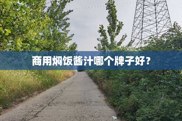商用焖饭酱汁哪个牌子好？