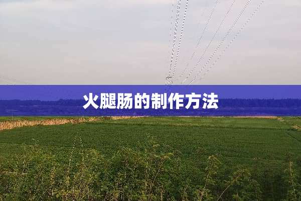 火腿肠的制作方法