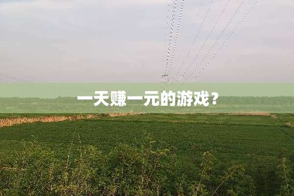 一天赚一元的游戏？