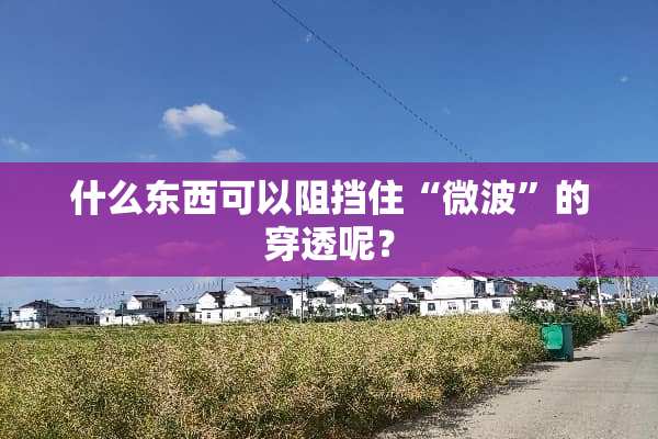 什么东西可以阻挡住“微波”的穿透呢？
