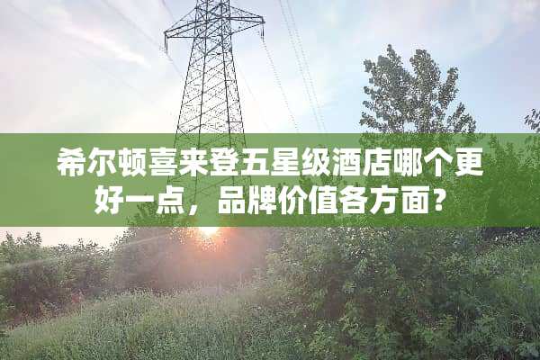 希尔顿喜来登五星级酒店哪个更好一点，品牌价值各方面？