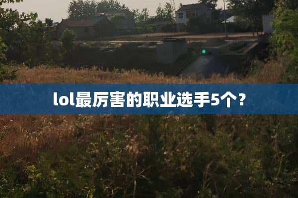 lol最厉害的职业选手5个？