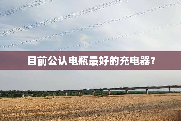 目前公认电瓶最好的充电器？