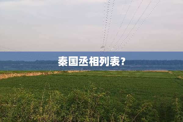 秦国丞相列表？