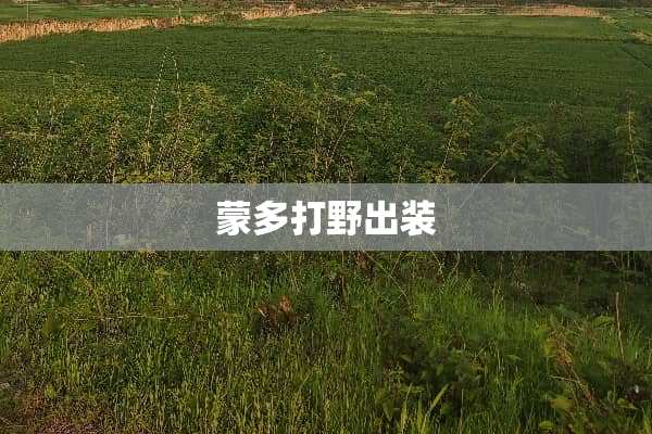 蒙多打野出装
