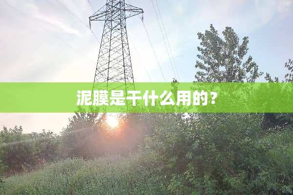 泥膜是干什么用的？