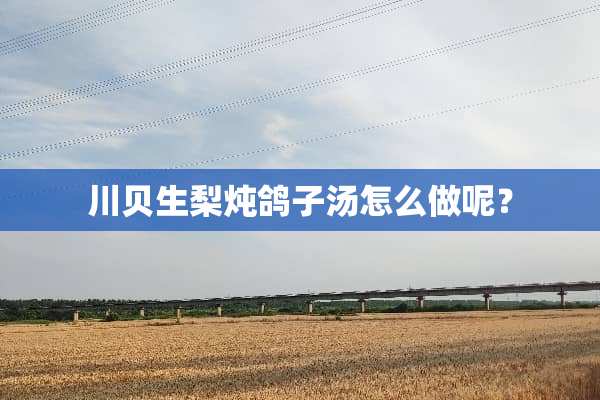 川贝生梨炖鸽子汤怎么做呢？