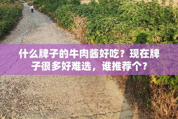 什么牌子的牛肉酱好吃？现在牌子很多好难选，谁推荐个？