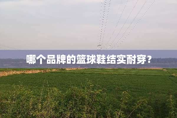 哪个品牌的篮球鞋结实耐穿？