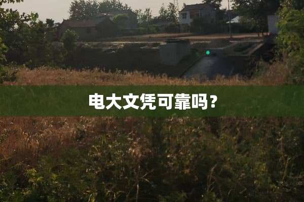 电大文凭可靠吗？