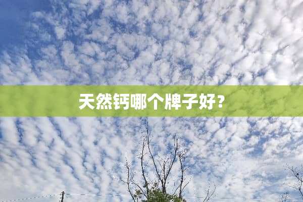 天然钙哪个牌子好？