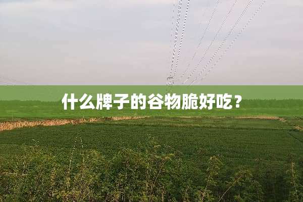 什么牌子的谷物脆好吃？