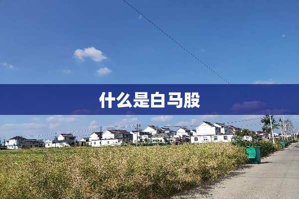 什么是白马股