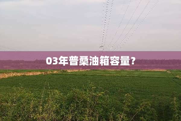 03年普桑油箱容量？