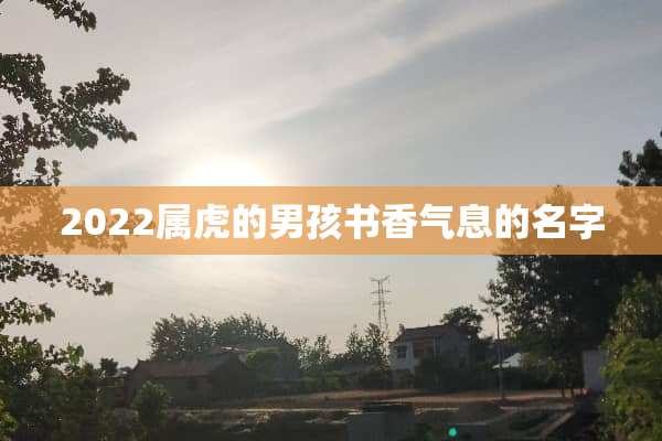 2022属虎的男孩书香气息的名字