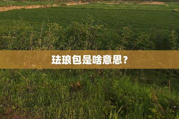 珐琅包是啥意思？