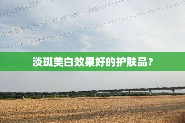 淡斑美白效果好的护肤品？