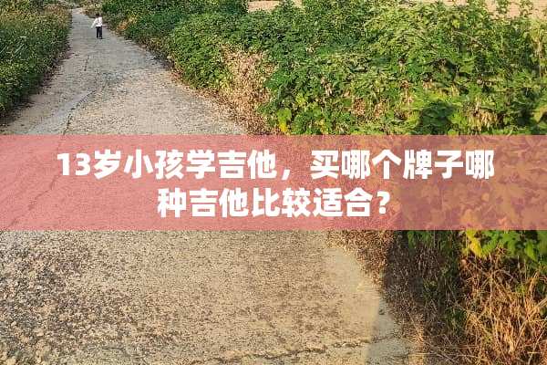 13岁小孩学吉他，买哪个牌子哪种吉他比较适合？