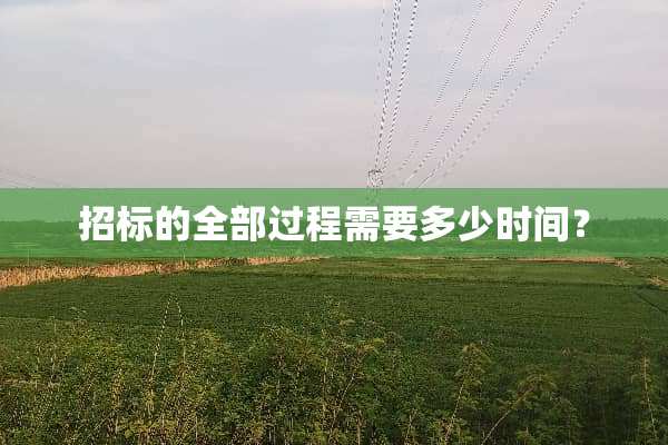 招标的全部过程需要多少时间？
