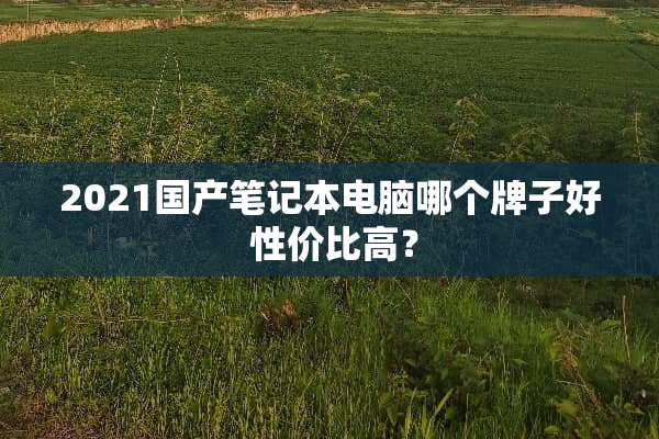 2021国产笔记本电脑哪个牌子好 性价比高？