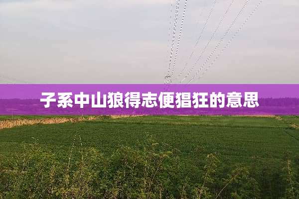 子系中山狼得志便猖狂的意思