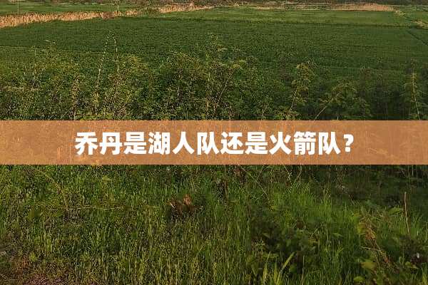乔丹是湖人队还是火箭队？