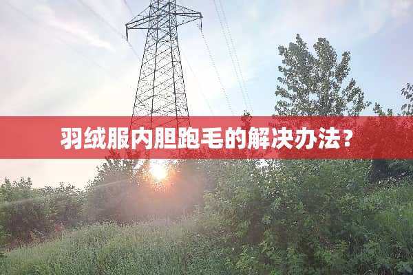 羽绒服内胆跑毛的解决办法？