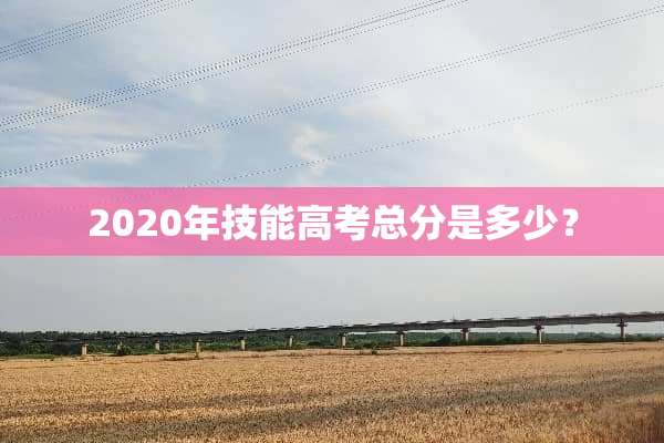 2020年技能高考总分是多少？