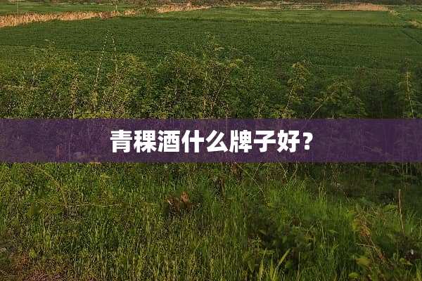青稞酒什么牌子好？