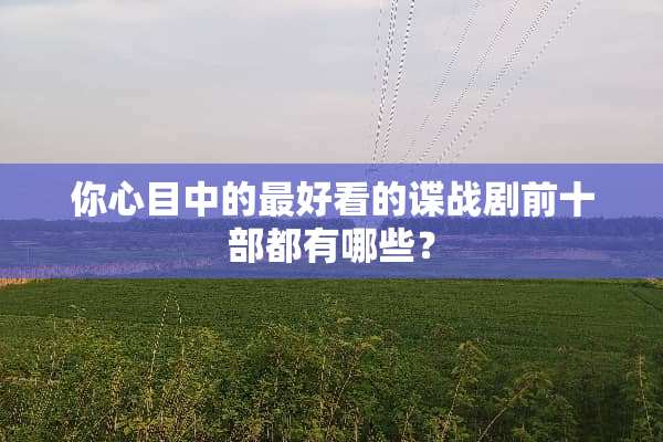 你心目中的最好看的谍战剧前十部都有哪些？