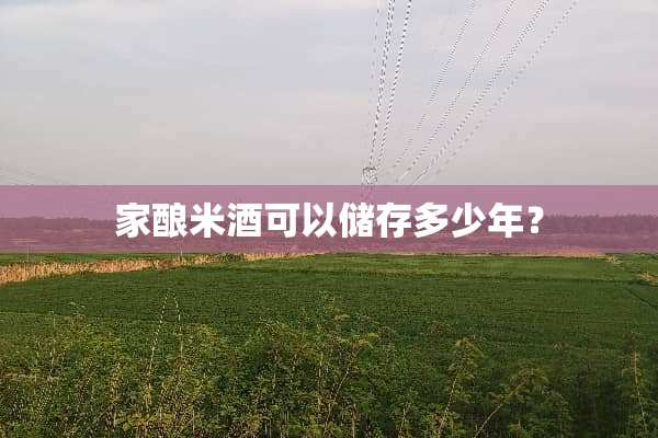 家酿米酒可以储存多少年？
