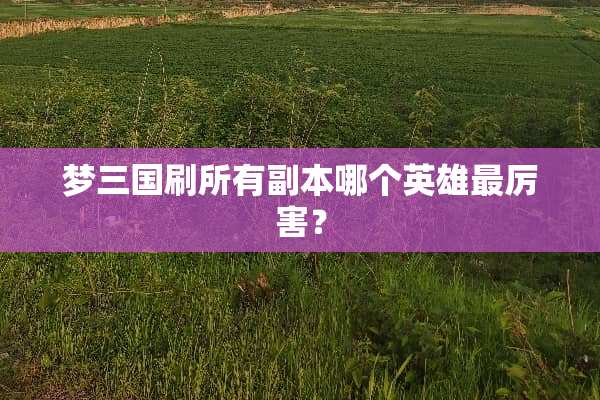 梦三国刷所有副本哪个英雄最厉害？