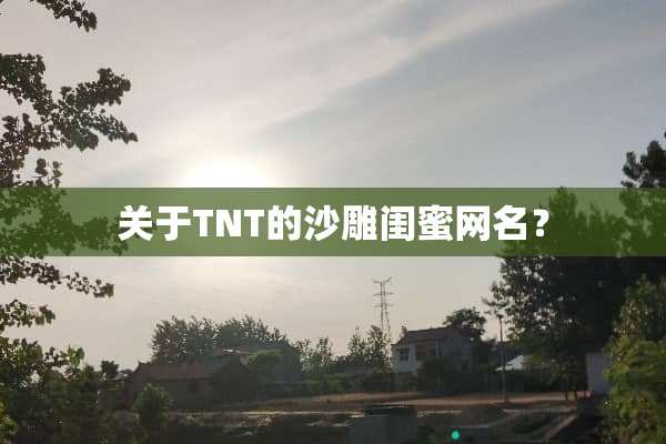 关于TNT的沙雕闺蜜网名？