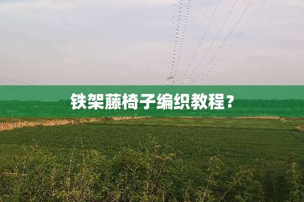 铁架藤椅子编织教程？