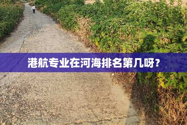 港航专业在河海排名第几呀？