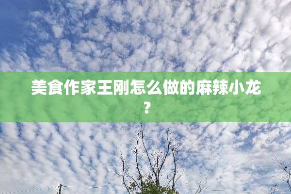 美食作家**怎么做的麻辣小龙？