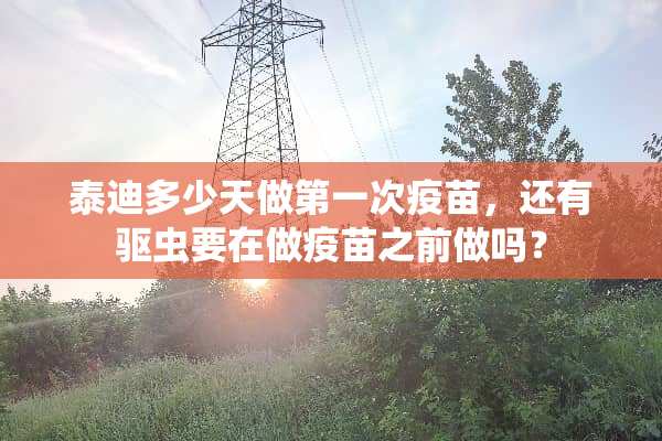 泰迪多少天做第一次**，还有驱虫要在做**之前做吗？