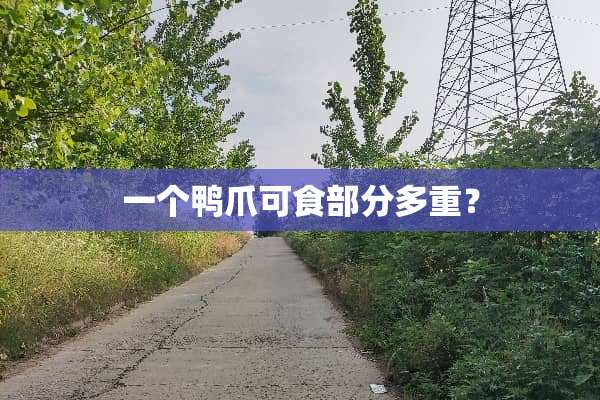 一个鸭爪可食部分多重？