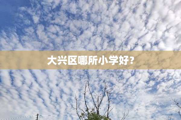大兴区哪所小学好？
