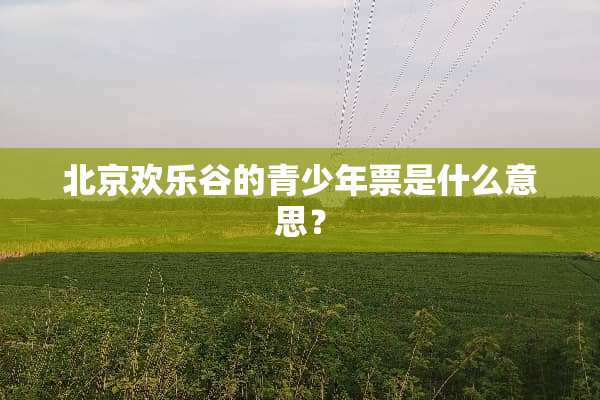 北京欢乐谷的青少年票是什么意思？
