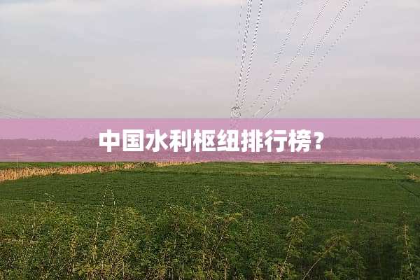 中国水利枢纽排行榜？